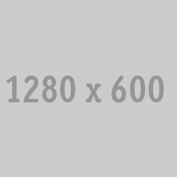 single_project_1